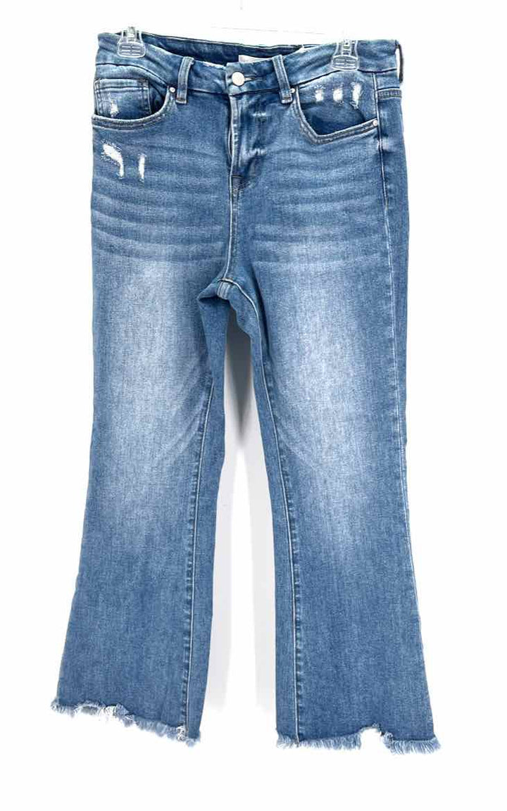 Size 28 ALTAR'D STATE Denim Pants