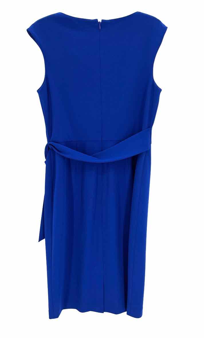 Size 10 TAHARI Blue Dress