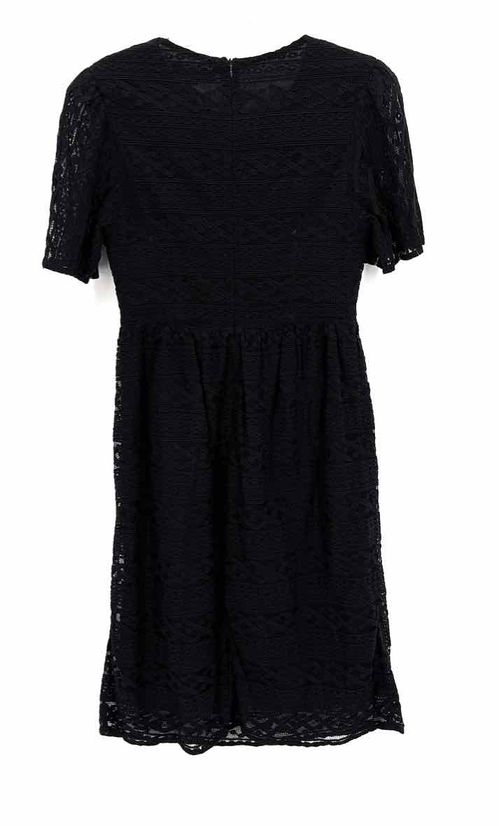 Size M ENDLESS ROSE Black Dress