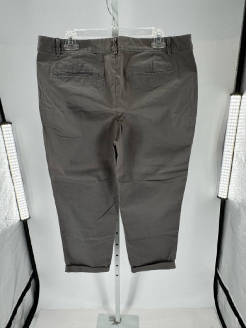 Size 14 J Crew Olive Pants