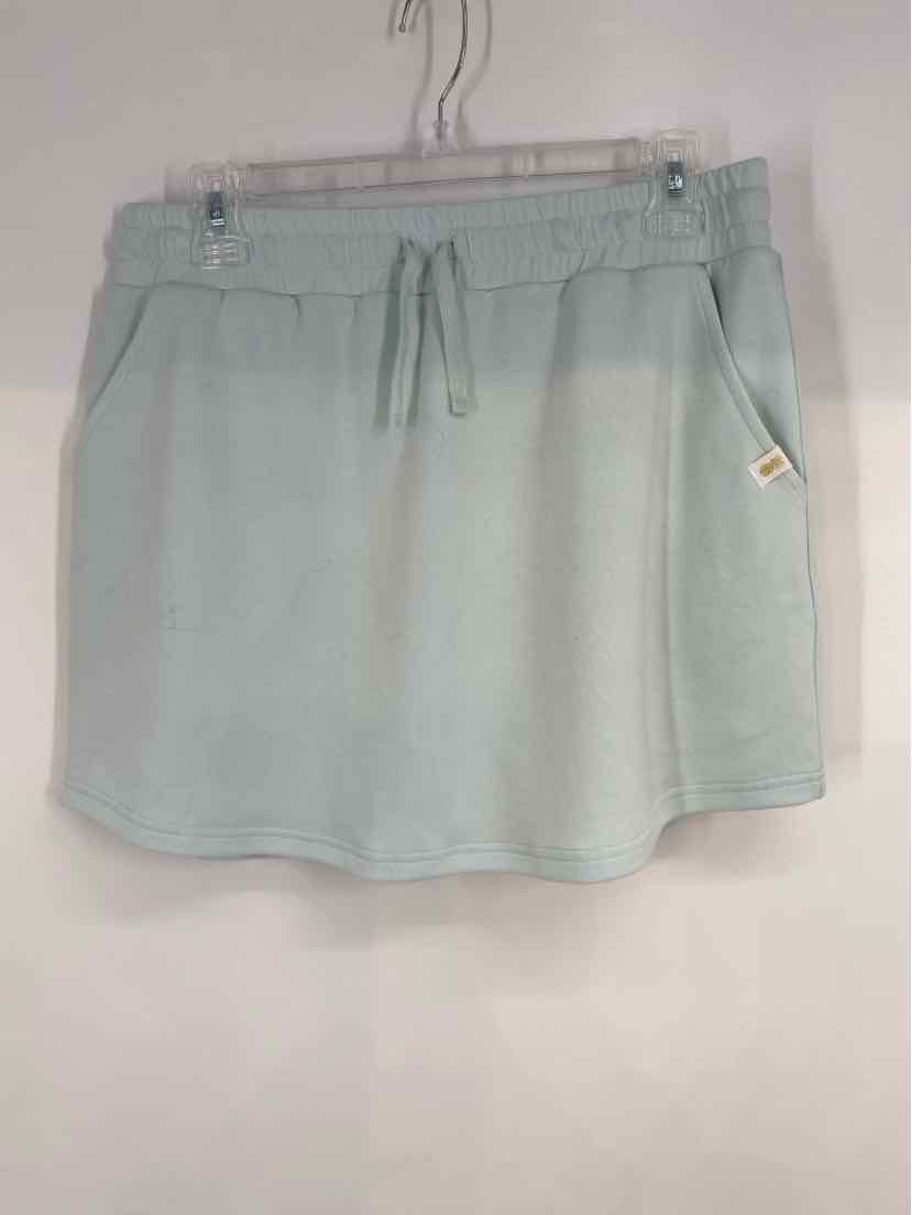 Size L SIMPLY SOUTHERN Iridescent Skirt