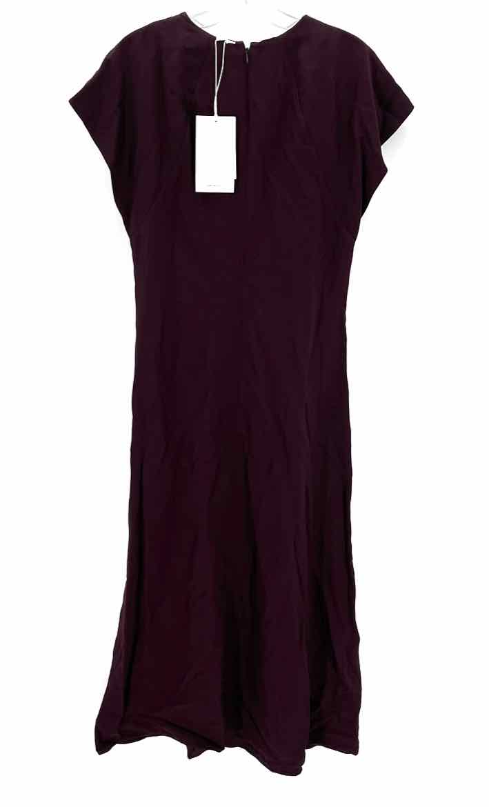Size M COS Burgundy Dress
