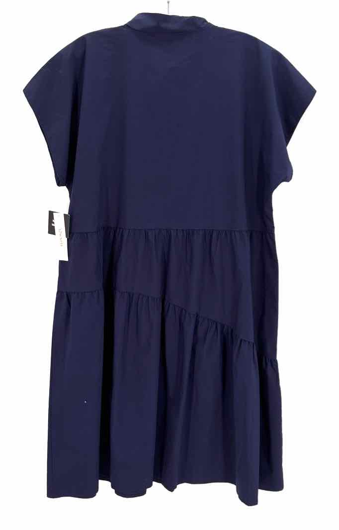 Size XL Navy Dress