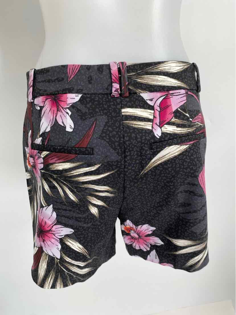 Size 4 White House Black Market Black Shorts