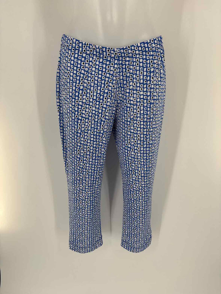 Size L CLARA SUN WOO Blue Print Pants