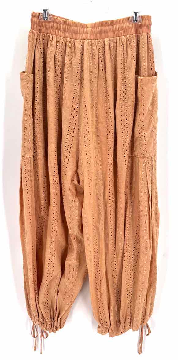 Size 2X Brown Pants
