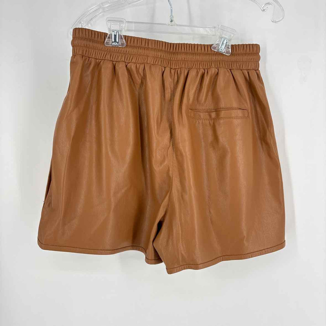 Size 8 JOIE Brown Shorts