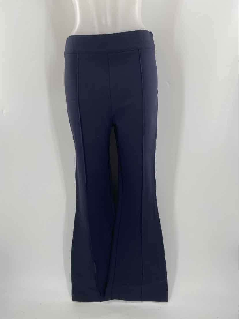 Size L SPANX Navy Pants