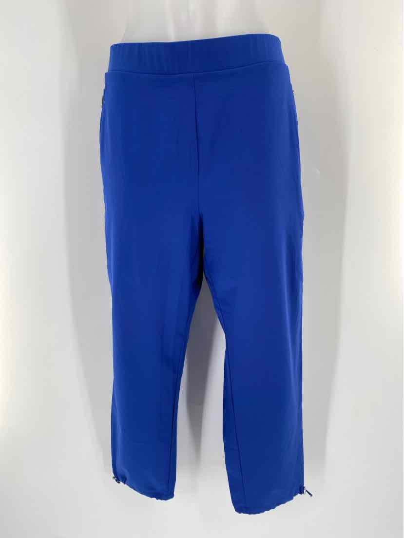 Size 10 Chico's Blue Pants