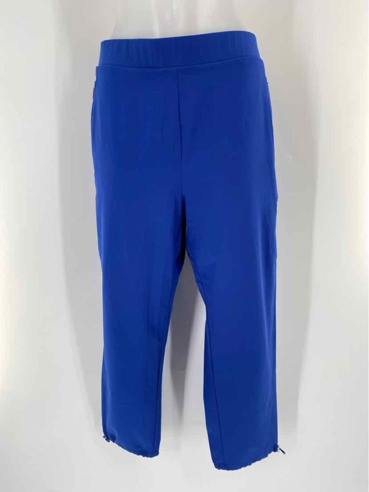 Size 10 Chico's Blue Pants