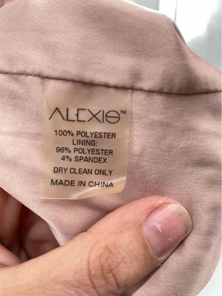 Size S ALEXIS Pink Lace Dress
