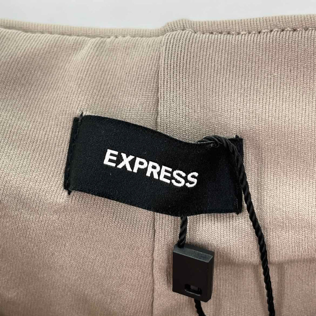 Size M EXPRESS Silver Pants