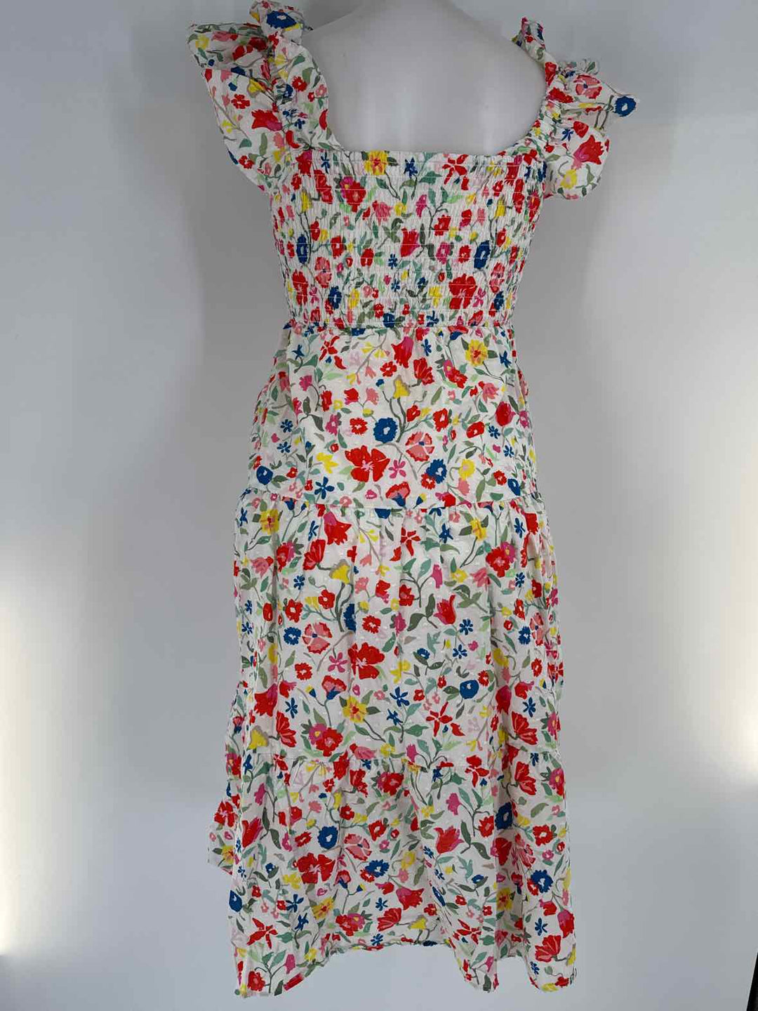 Size XXS CROSBY Multi-Color Dress