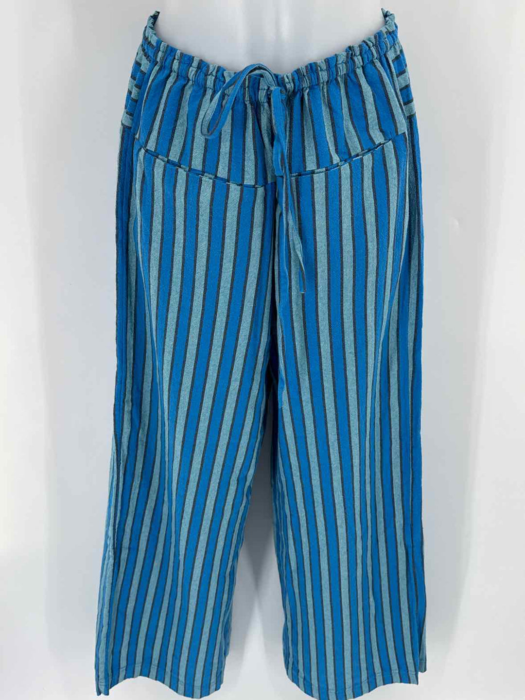 Size L FREE PEOPLE Blue Pants
