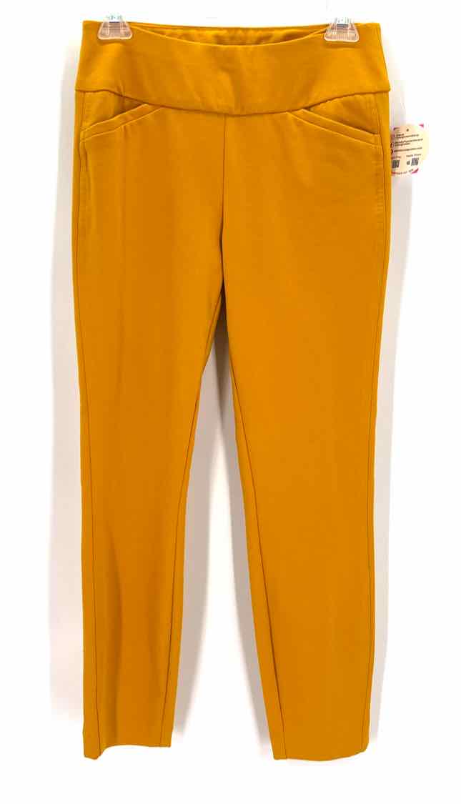 Size S NY & CO Mustard Knit Pants