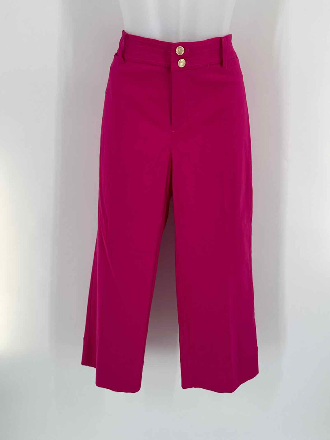 Size 12 Chico's Purple Pants