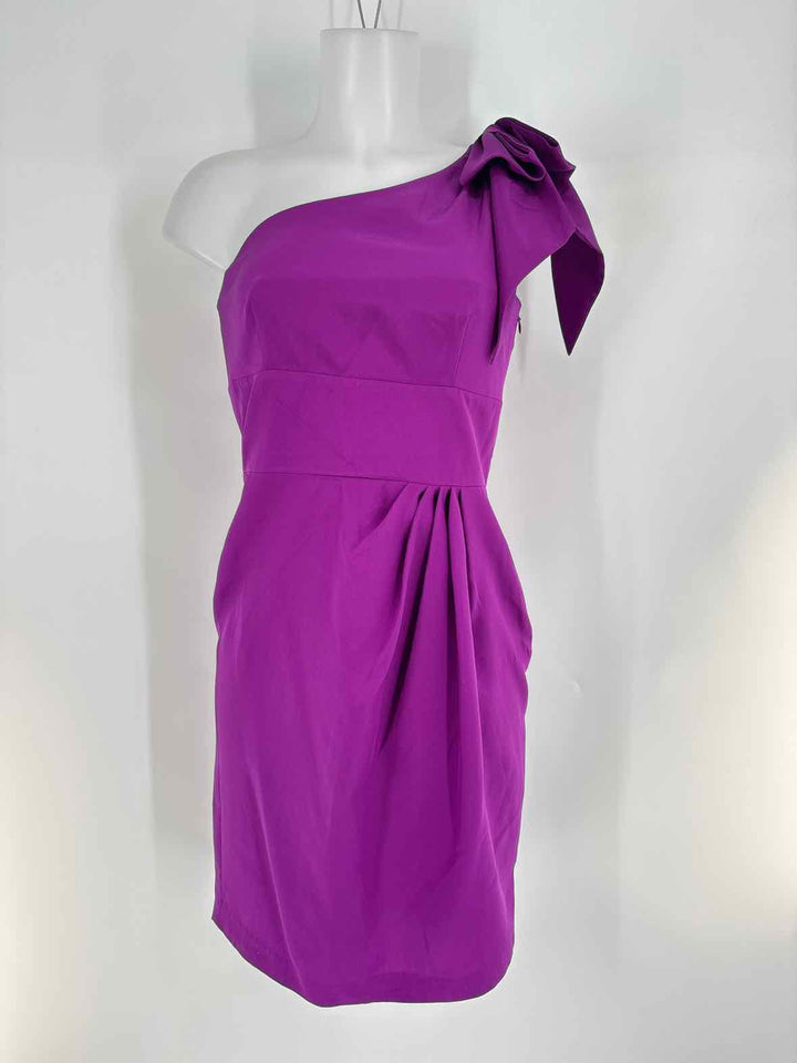 Size 4 ANTONIO MELANI Purple PROM