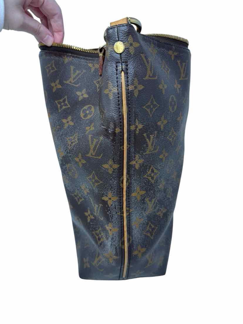 Louis Vuitton Luxury - Purse