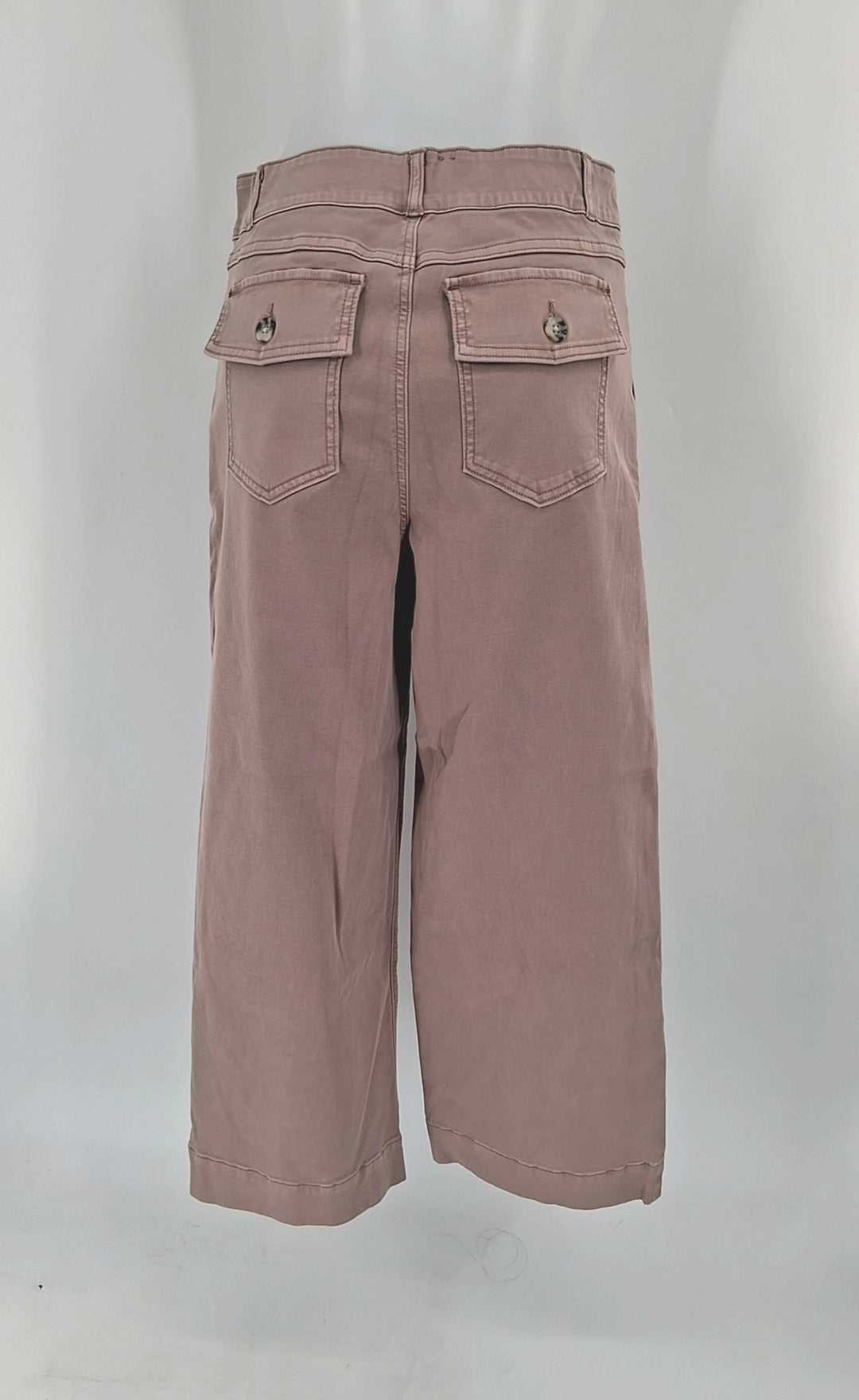 Size L SPANX Mauve Pants