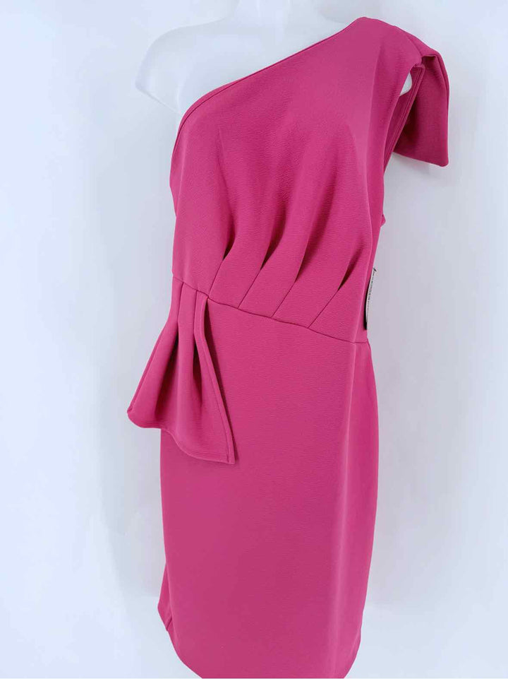 Size XL NY & CO Fuschia Dress