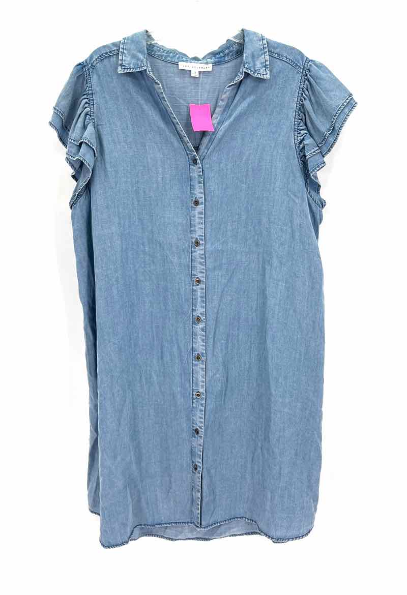 Size 2X Jane & Delaney Blue Chambray Dress