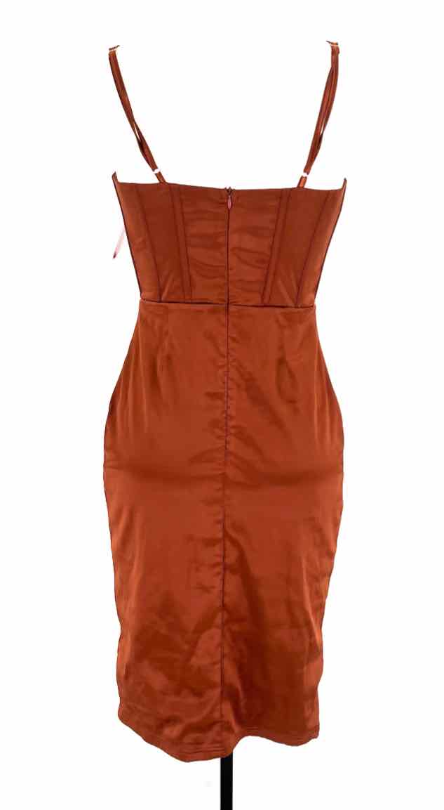 Size M Bronze Dress