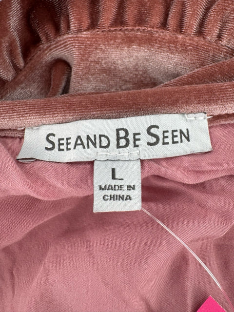 Size L SEE AND BE SEEN Mauve Velour Dress