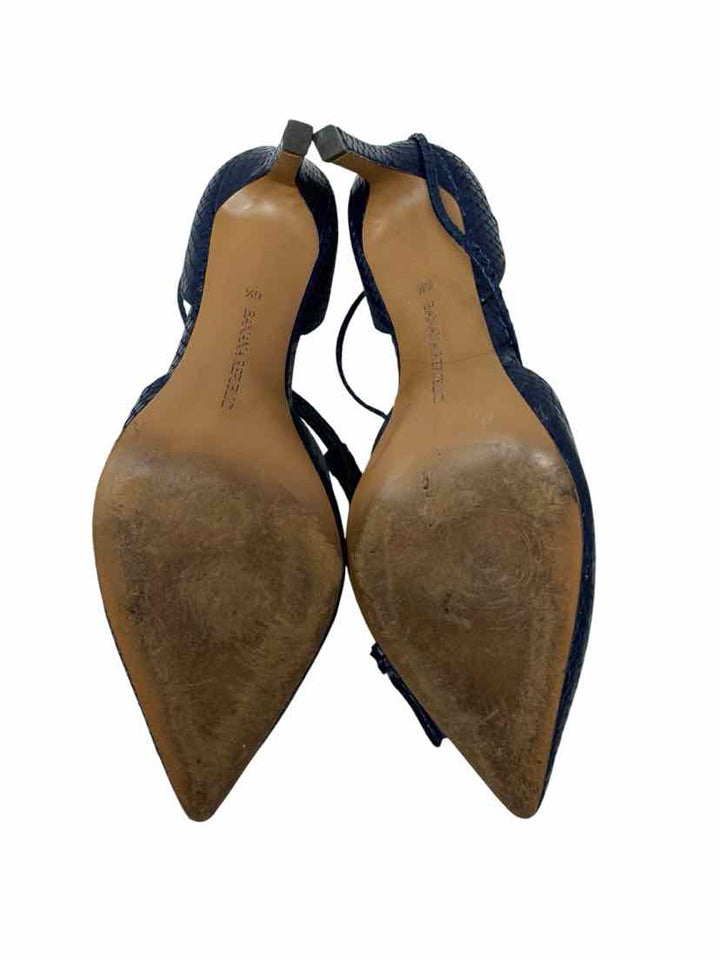 Shoe Size 6.5 Banana Republic Blue Pumps