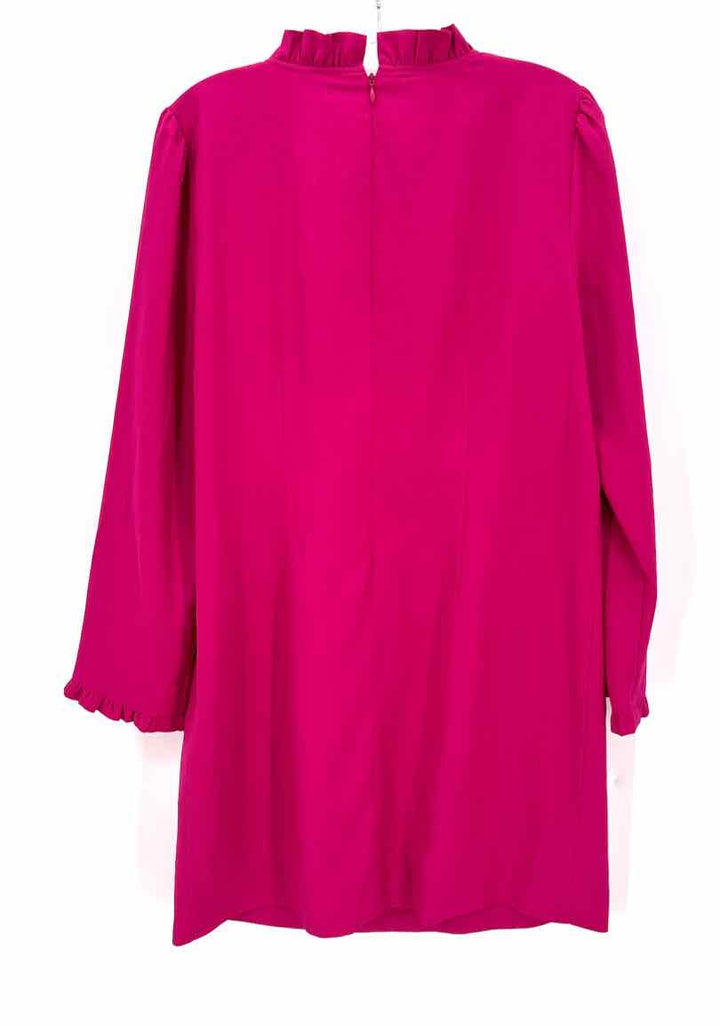 Size 12 J Crew Fuschia Dress