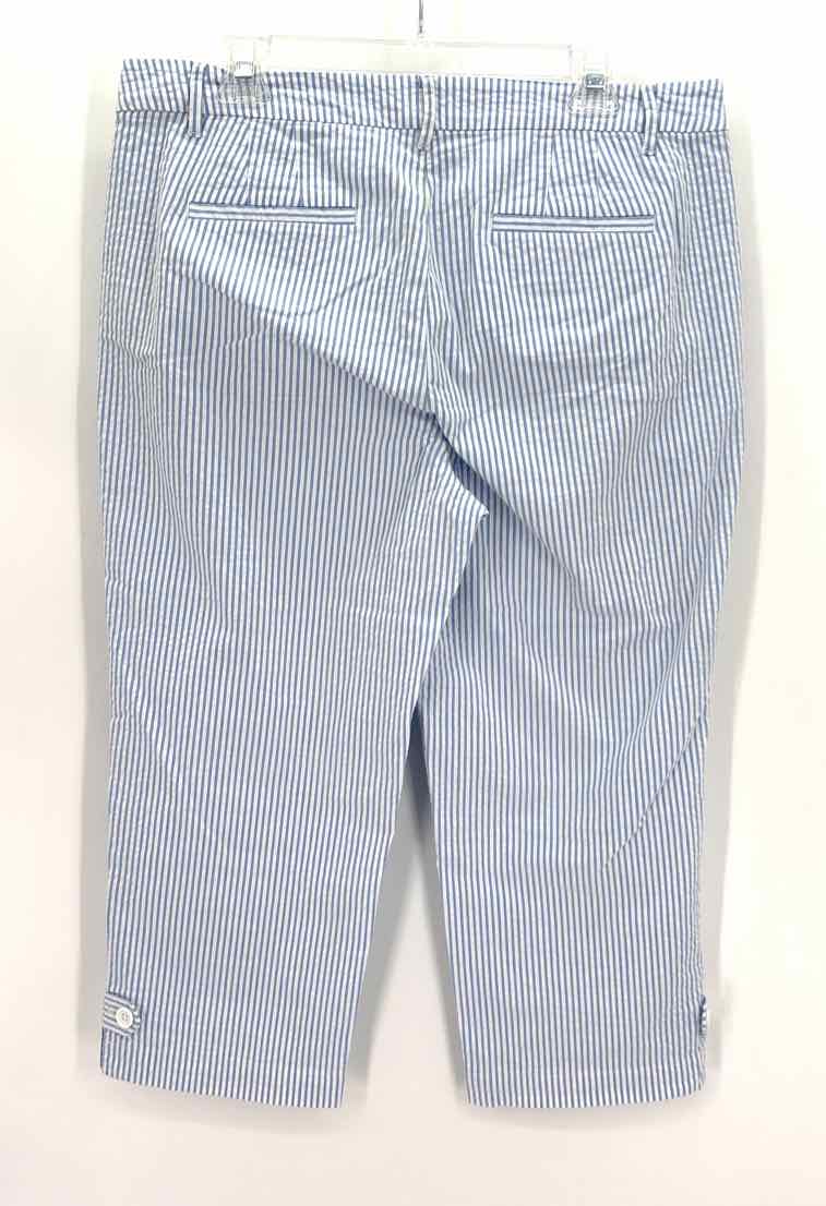 Size 12 Talbots Multi-Color Pants