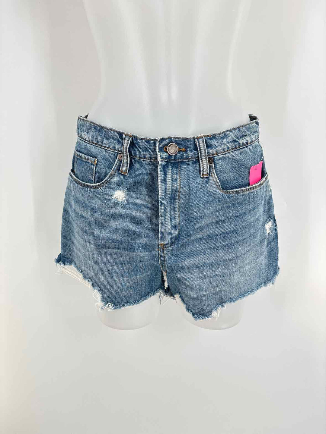 Size 29 BLANK NYC Denim Shorts