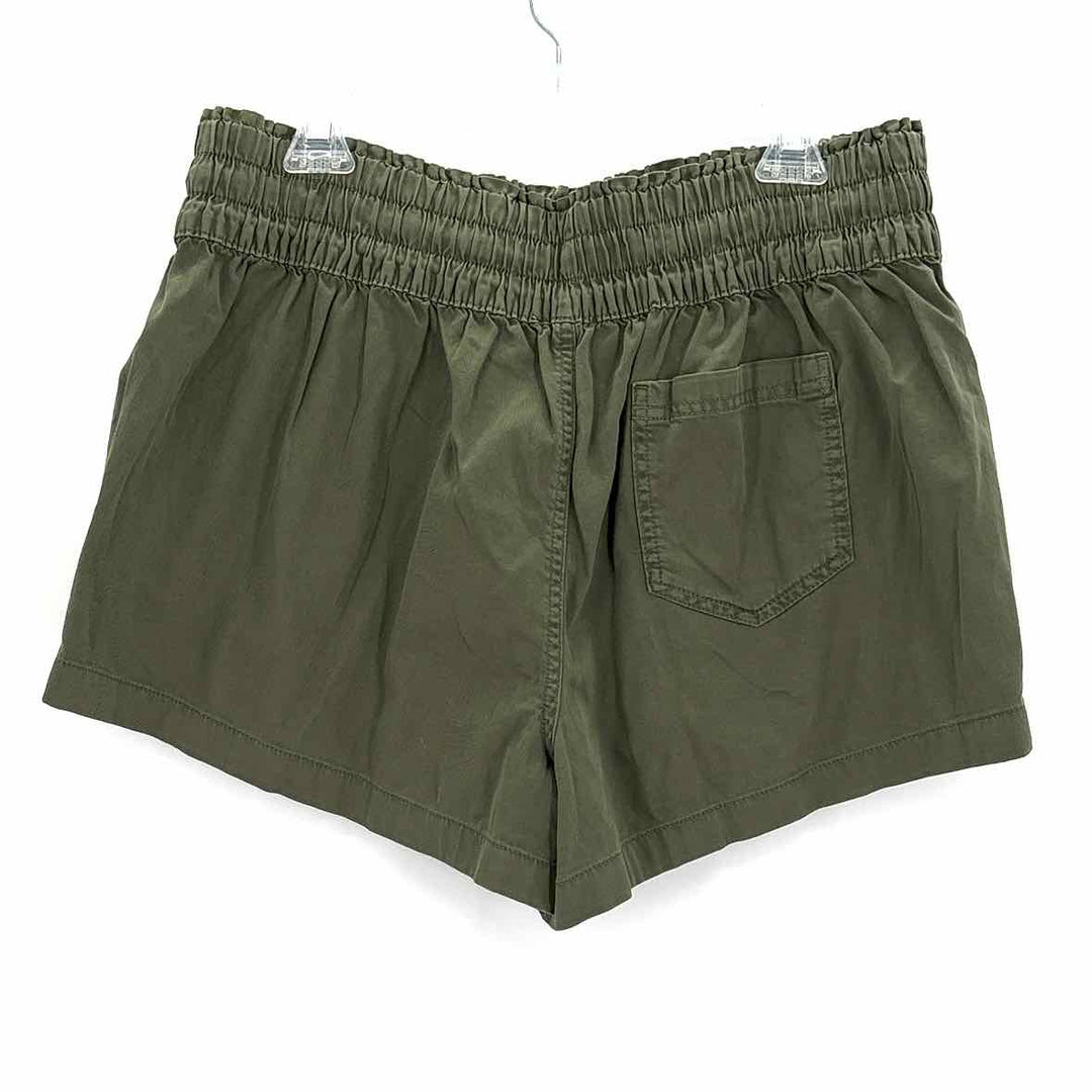 Size L AERIE Green Shorts