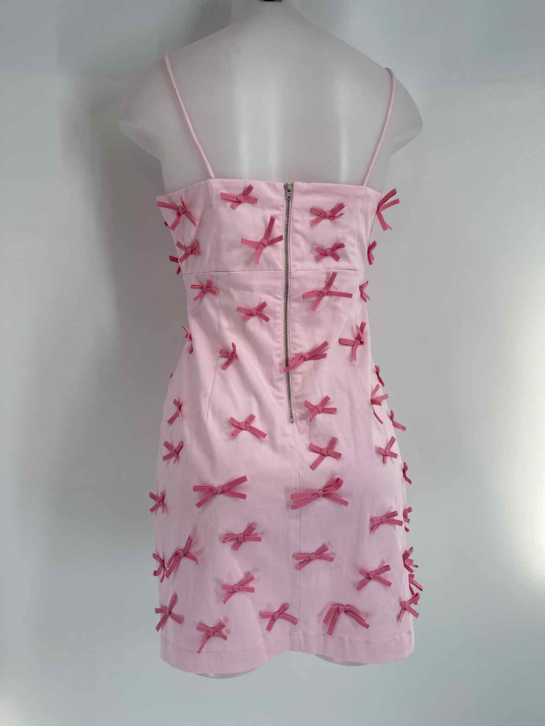 Size 2 MAEVE Pink Dress