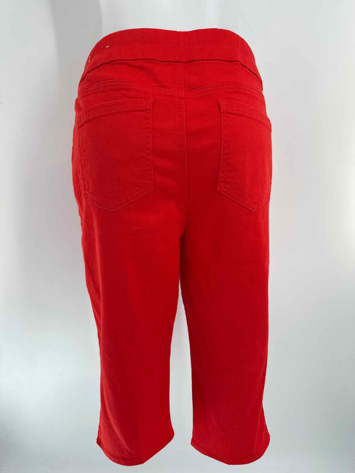 Size 12 Chico's Red Pants