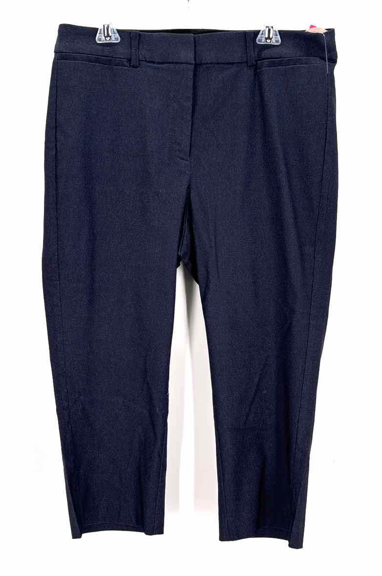 Size 16 LANE BRYANT Navy Pants
