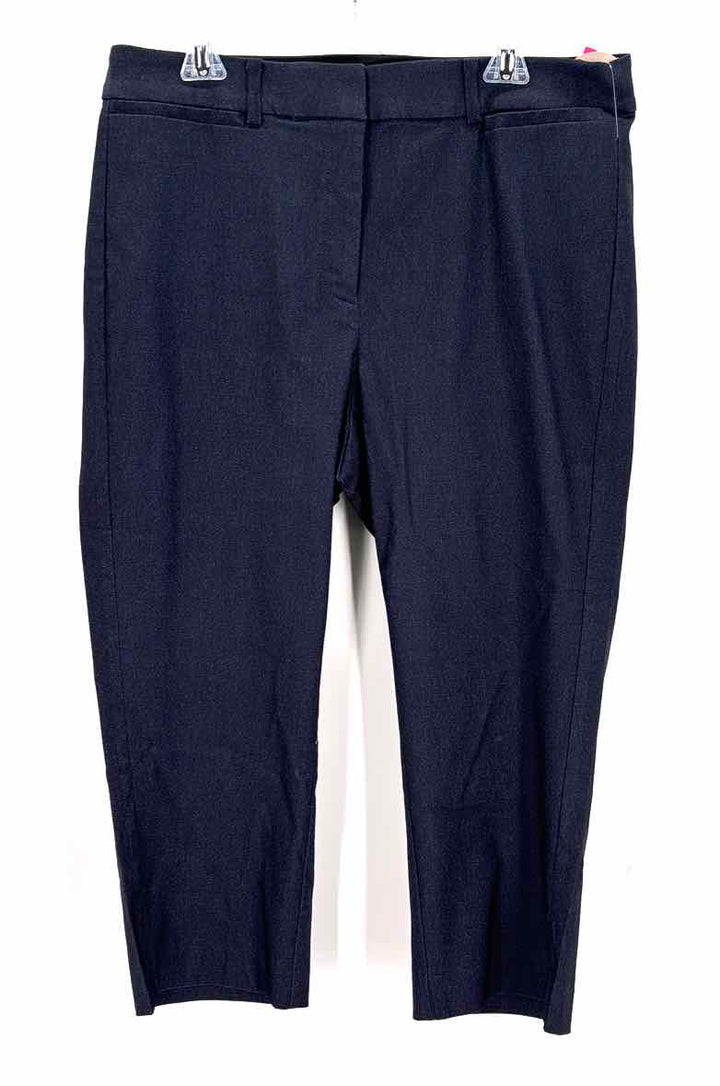 Size 16 LANE BRYANT Navy Pants
