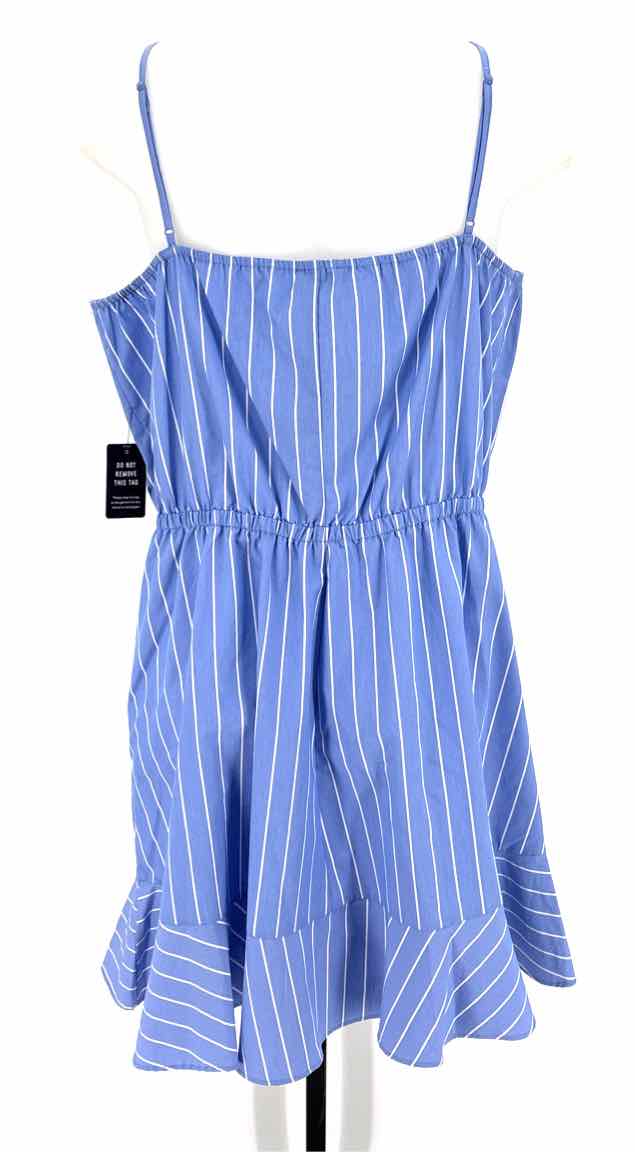 Size XL EXPRESS Blue Dress