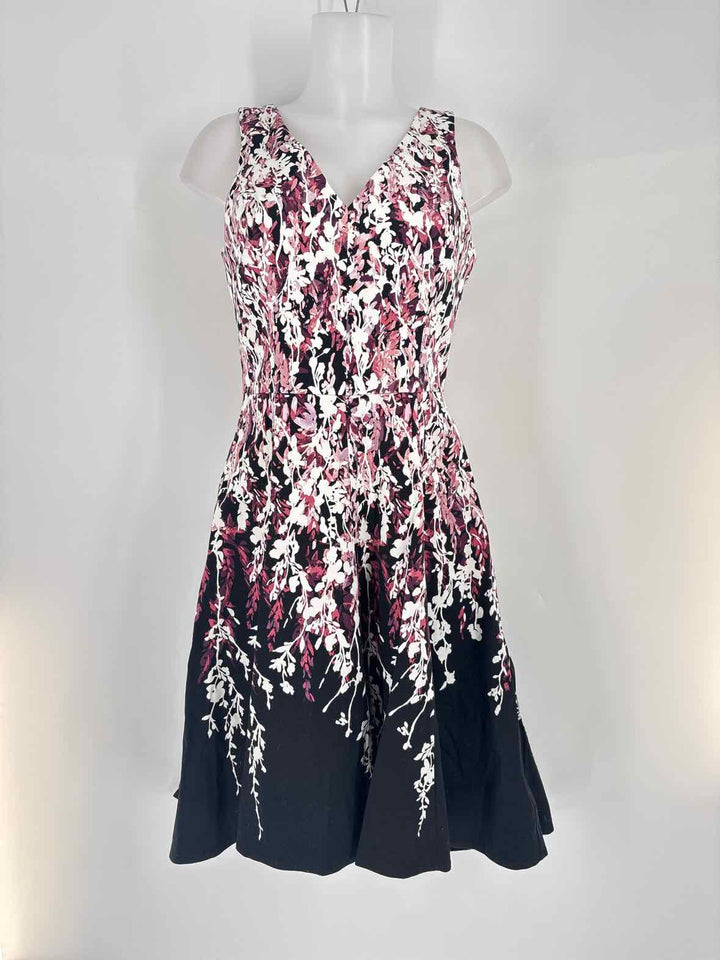 Size 6 White House Black Market Black/White Dress