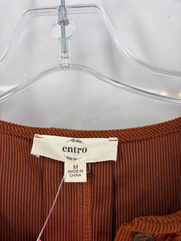 Size M ENTRO Brown Dress