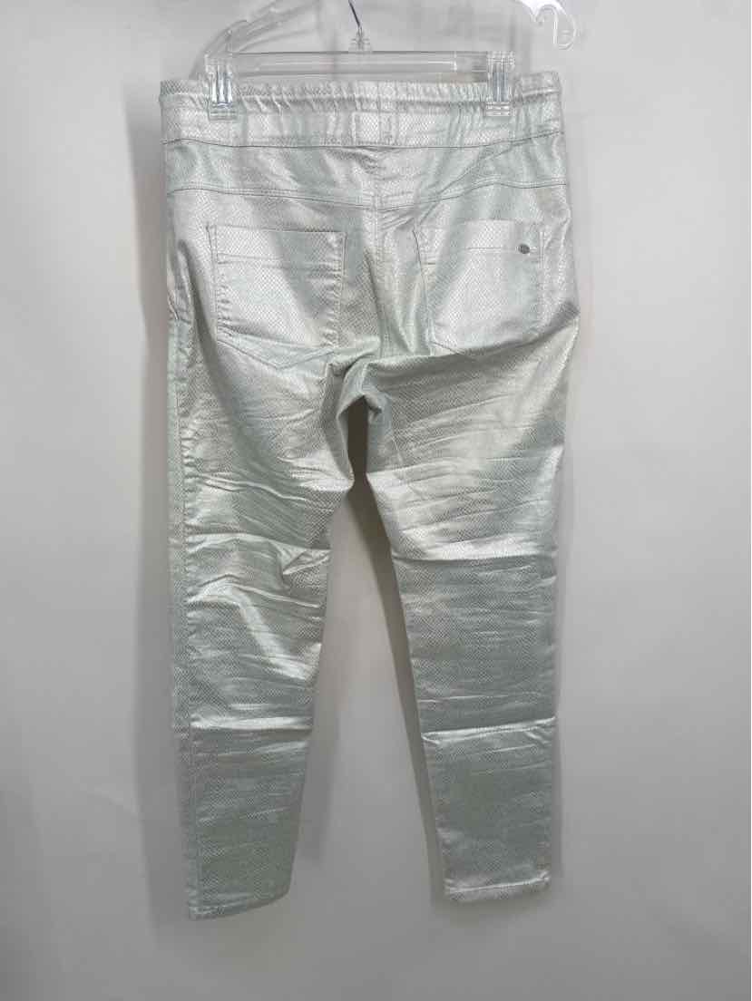 Size 30 Silver Pants