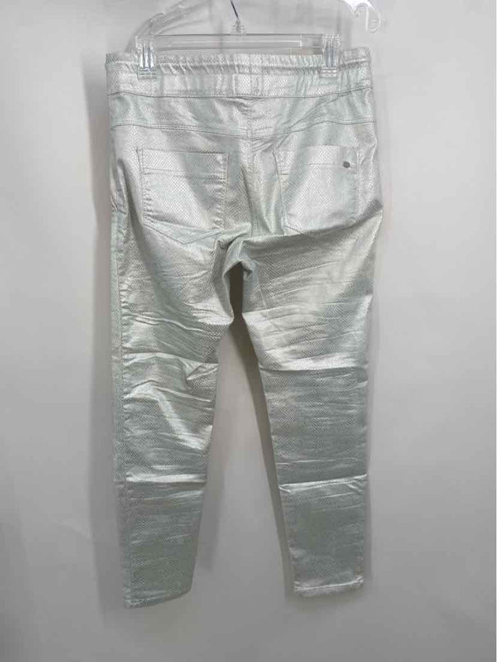 Size 30 Silver Pants