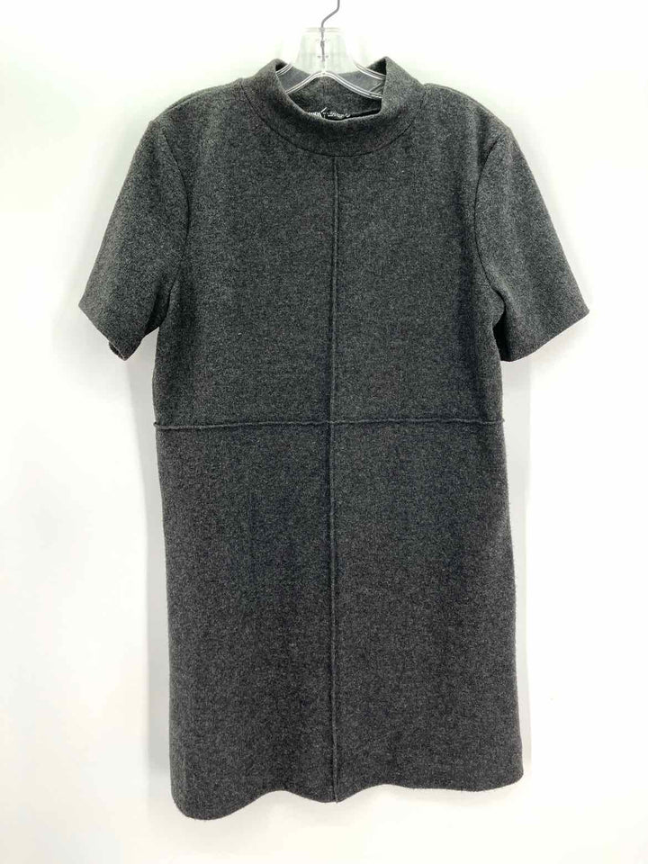 Size L ZARA Charcoal Dress