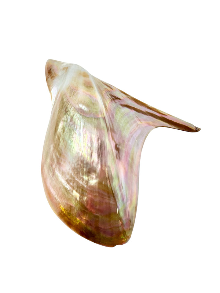 Brooch