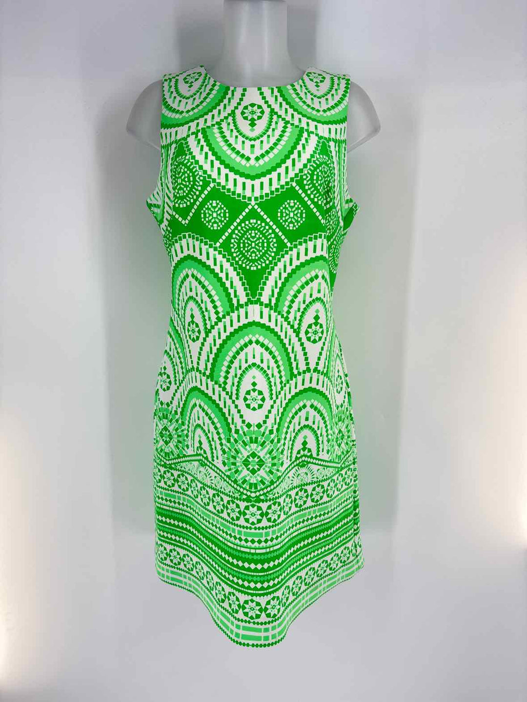 Size 12 Green Print Dress