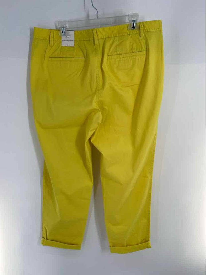 Size 14 Talbots Lime Green Pants