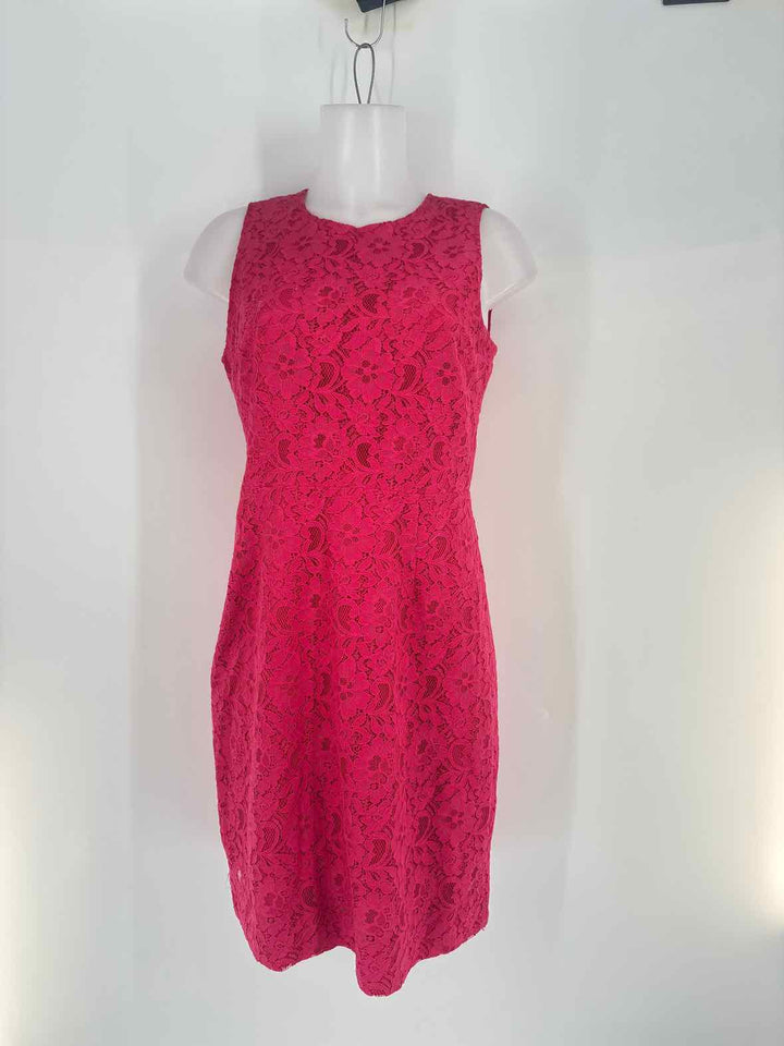 Size 6 J Crew Pink Dress