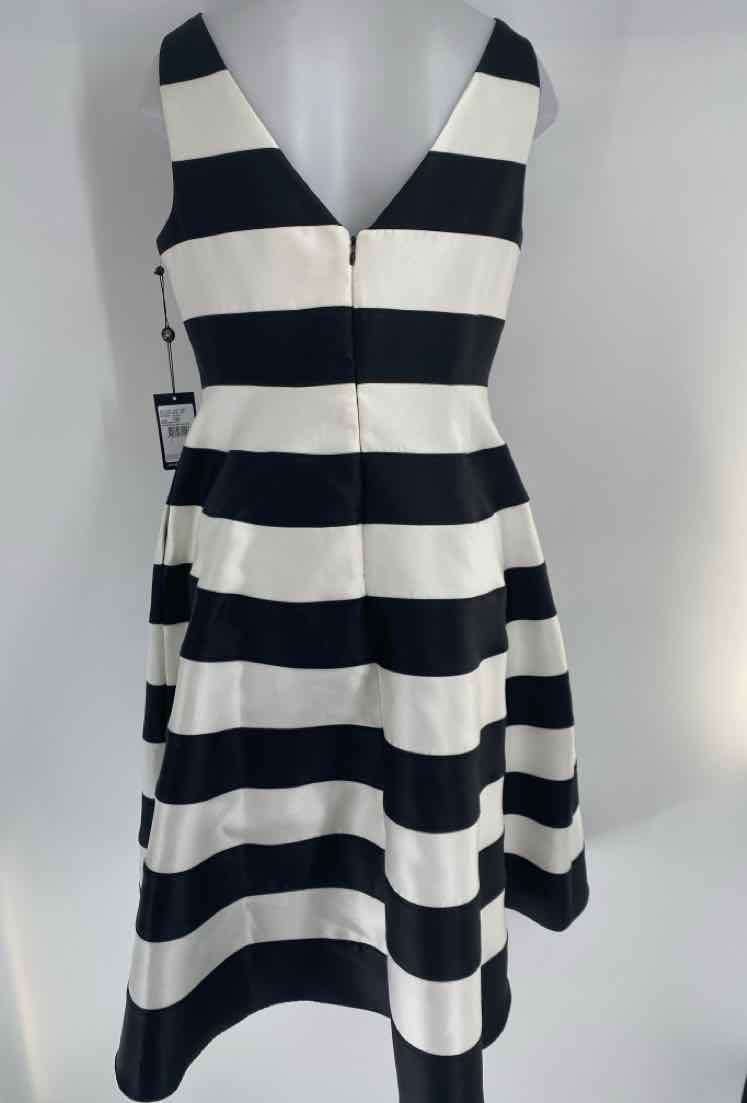 Size 12 Adrianna Papell Black Dress