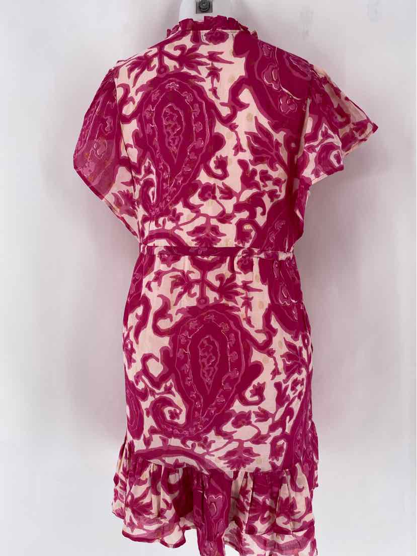 Size S Fuschia Dress