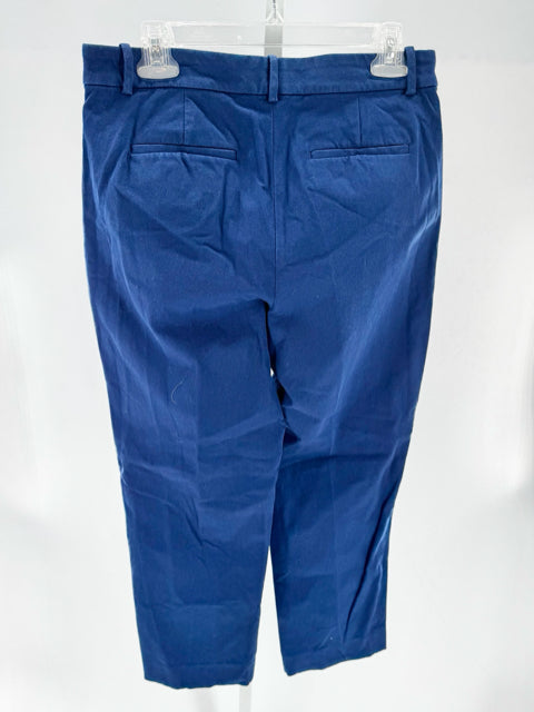 Size 8 Navy Pants