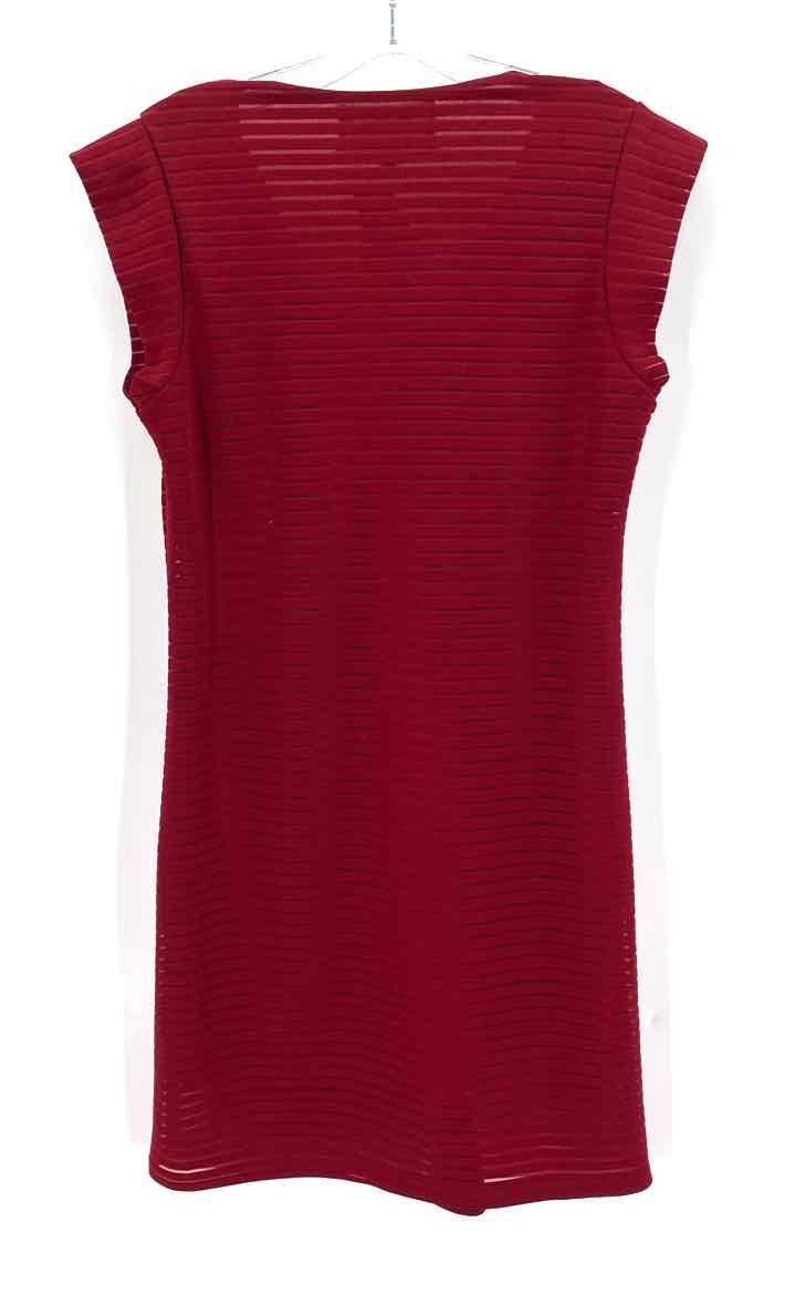 Size M Burgundy Dress